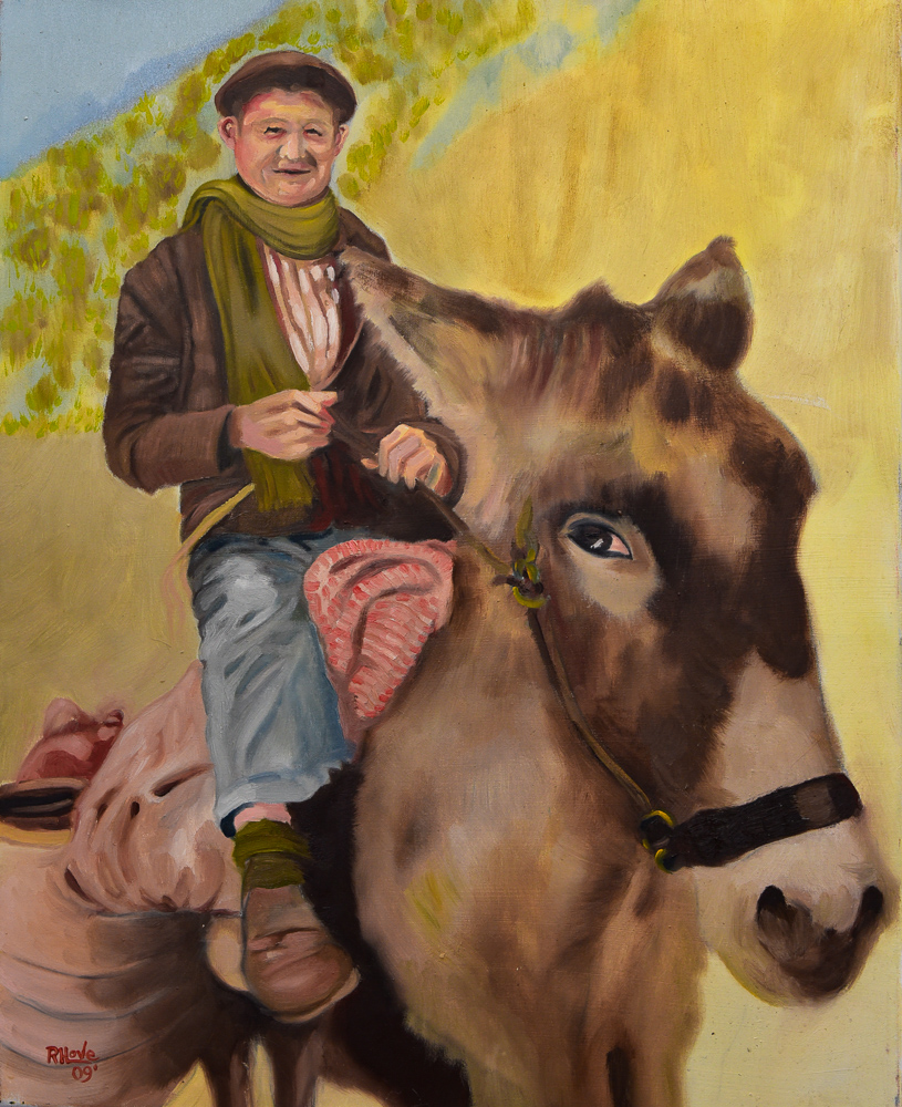 Man on a Donkey